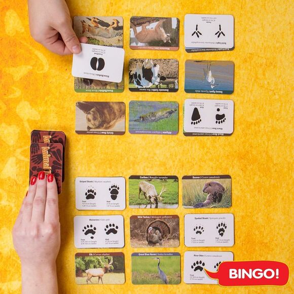 The Young Scientists Club Animal Tracks Game, STEM Kits For Kids Age 5+ NEW - Picture 6 of 6